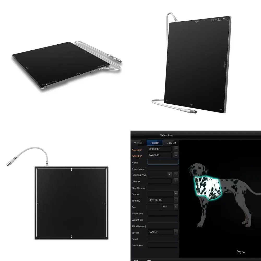 Hot Sale 1717 Inches AEC Tech  - Tech Accessories Sale 评论和价格